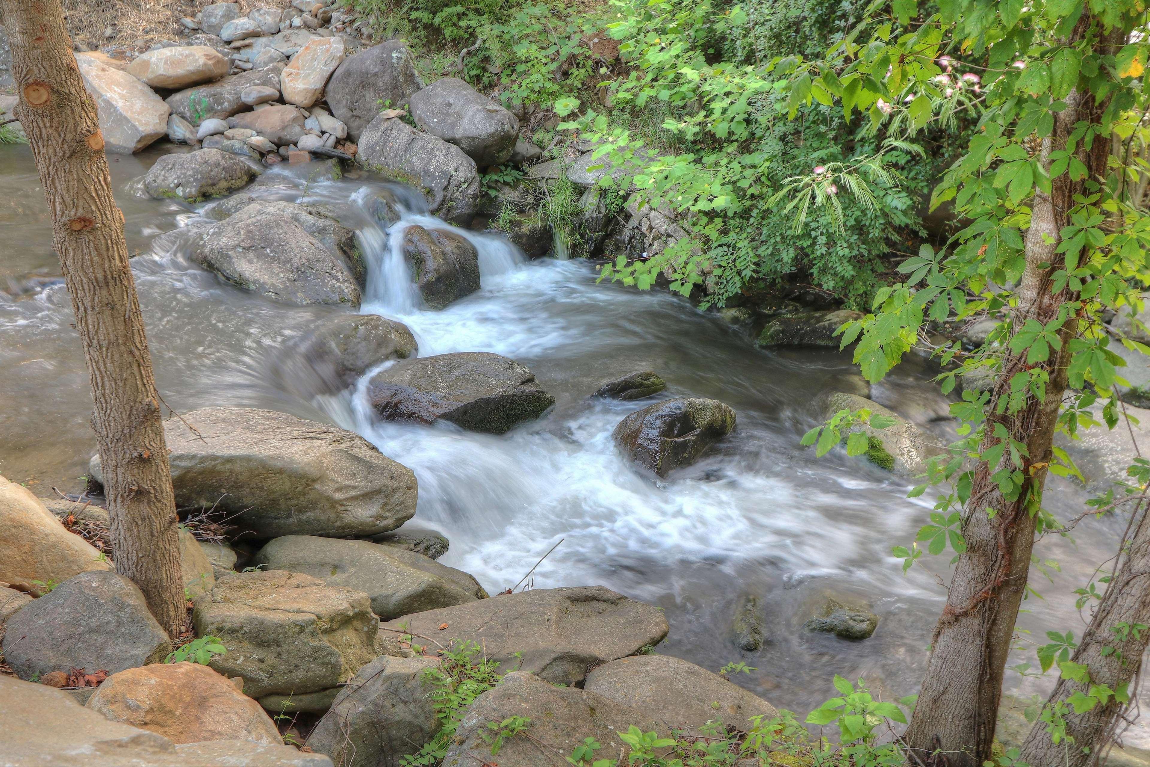 Hampton Inn Gatlinburg Historic Nature Trail, Tn Екстер'єр фото